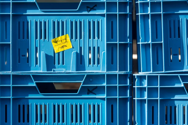 Stacked blue plastic crates with a small yellow quality control sticker on one crate