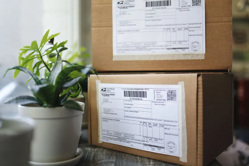 Two cardboard parcels with barcoded shipping labels stacked beside a potted plant